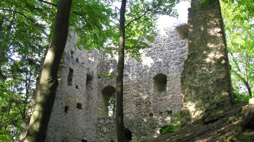 Zřícenina hradu Roßstein