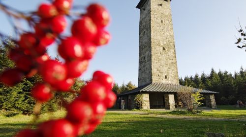 Strážní věž - Schönburgwarte am Kornberg