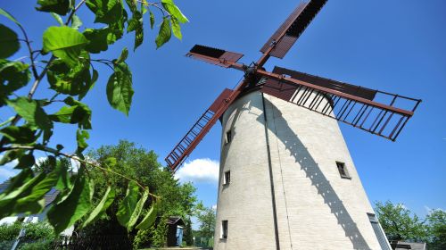 Větrný mlýn - Windmühle Syrau